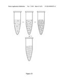 High-Throughput Immune Sequencing diagram and image