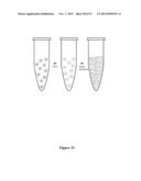 High-Throughput Immune Sequencing diagram and image