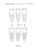 High-Throughput Immune Sequencing diagram and image