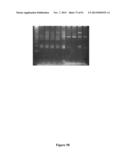 High-Throughput Immune Sequencing diagram and image