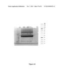 High-Throughput Immune Sequencing diagram and image