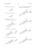 C-17 BICYCLIC AMINES OF TRITERPENOIDS WITH HIV MATURATION INHIBITORY     ACTIVITY diagram and image