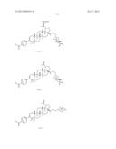 C-17 BICYCLIC AMINES OF TRITERPENOIDS WITH HIV MATURATION INHIBITORY     ACTIVITY diagram and image