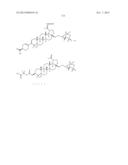 C-17 BICYCLIC AMINES OF TRITERPENOIDS WITH HIV MATURATION INHIBITORY     ACTIVITY diagram and image