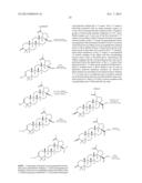 C-17 BICYCLIC AMINES OF TRITERPENOIDS WITH HIV MATURATION INHIBITORY     ACTIVITY diagram and image