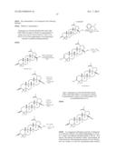 C-17 BICYCLIC AMINES OF TRITERPENOIDS WITH HIV MATURATION INHIBITORY     ACTIVITY diagram and image