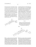 C-17 BICYCLIC AMINES OF TRITERPENOIDS WITH HIV MATURATION INHIBITORY     ACTIVITY diagram and image