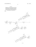 C-17 BICYCLIC AMINES OF TRITERPENOIDS WITH HIV MATURATION INHIBITORY     ACTIVITY diagram and image