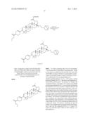 C-17 BICYCLIC AMINES OF TRITERPENOIDS WITH HIV MATURATION INHIBITORY     ACTIVITY diagram and image