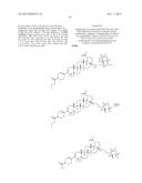 C-17 BICYCLIC AMINES OF TRITERPENOIDS WITH HIV MATURATION INHIBITORY     ACTIVITY diagram and image