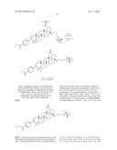 C-17 BICYCLIC AMINES OF TRITERPENOIDS WITH HIV MATURATION INHIBITORY     ACTIVITY diagram and image