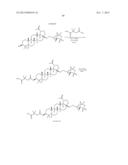 C-17 BICYCLIC AMINES OF TRITERPENOIDS WITH HIV MATURATION INHIBITORY     ACTIVITY diagram and image