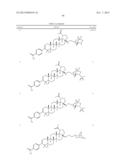 C-17 BICYCLIC AMINES OF TRITERPENOIDS WITH HIV MATURATION INHIBITORY     ACTIVITY diagram and image