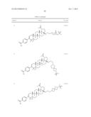 C-17 BICYCLIC AMINES OF TRITERPENOIDS WITH HIV MATURATION INHIBITORY     ACTIVITY diagram and image