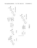 System for Controlling the Reactivity of Boronic Acids diagram and image