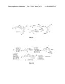 System for Controlling the Reactivity of Boronic Acids diagram and image