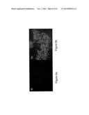 PREPARATION OF SENSORS ON OLIGO- OR POLY (ETHYLENE GLYCOL) FILMS ON     SILICON SURFACES diagram and image