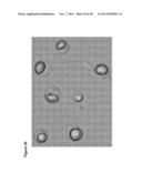 Modified Lipids Produced from Oil-Bearing Microbial Biomass and Oils diagram and image