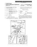 SYSTEM AND METHOD OF PRE-AORTIC GANGLION ABLATION diagram and image