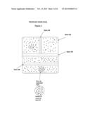 Stabilizing Adjustable Shooting Device diagram and image