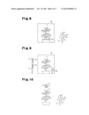 INSECT PEST DISINFESTATION LIGHTING SYSTEM diagram and image