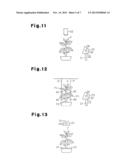 INSECT PEST DISINFESTATION LIGHTING SYSTEM diagram and image