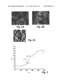 ELECTRICAL AND THERMAL CONDUCTIVE THIN FILM WITH DOUBLE LAYER STRUCTURE     PROVIDED AS A ONE-DIMENSIONAL NANOMATERIAL NETWORK WITH GRAPHENE/GRAPHENE     OXIDE COATING diagram and image