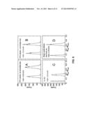 SYSTEM AND PLASTIC SCINTILLATOR FOR DISCRIMINATION OF THERMAL NEUTRON,     FAST NEUTRON, AND GAMMA RADIATION diagram and image