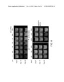 PHOTO-INDUCED PHASE TRANSFER OF LUMINESCENT QUANTUM DOTS diagram and image