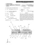 PHOTOELECTRIC CONVERSION DEVICE diagram and image