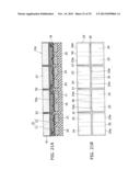 LIGHT EMITTING DEVICE, LIGHT EMITTING MODULE, AND METHOD FOR MANUFACTURING     LIGHT EMITTING DEVICE diagram and image