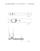 METHOD FOR THE MODEL-BASED DETERMINATION OF THE BIOMETRY OF EYES diagram and image