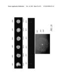 HIGHLY RARE-EARTH-DOPED OPTICAL FIBERS FOR FIBER LASERS AND AMPLIFIERS diagram and image