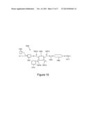 Lasers and Amplifiers Having Tapered Elements diagram and image