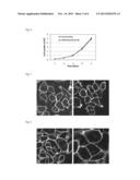 NOVEL TARGETED PARAMAGNETIC CONTRAST AGENT diagram and image