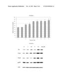 INDOLE ALKALOID COMPOUNDS AS MELANOGENESIS PROMOTERS AND USES THEREOF diagram and image