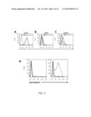 TUMOR TARGETED TNF-RELATED APOPTOSIS INDUCING LIGAND FUSION POLYPEPTIDE,     METHODS AND USES THEREFOR diagram and image