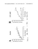 TUMOR TARGETED TNF-RELATED APOPTOSIS INDUCING LIGAND FUSION POLYPEPTIDE,     METHODS AND USES THEREFOR diagram and image