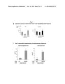 DISCOVERY OF REGULATORY T CELLS PROGRAMMED TO SUPPRESS AN IMMUNE RESPONSE diagram and image