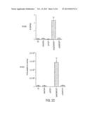 USE OF TLR AGONISTS AND/OR TYPE 1 INTERFERONS TO ALLEVIATE TOXICITY OF     TNF-R AGONIST THERAPEUTIC REGIMENS diagram and image