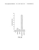 USE OF TLR AGONISTS AND/OR TYPE 1 INTERFERONS TO ALLEVIATE TOXICITY OF     TNF-R AGONIST THERAPEUTIC REGIMENS diagram and image