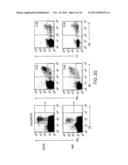 USE OF TLR AGONISTS AND/OR TYPE 1 INTERFERONS TO ALLEVIATE TOXICITY OF     TNF-R AGONIST THERAPEUTIC REGIMENS diagram and image