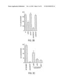 USE OF TLR AGONISTS AND/OR TYPE 1 INTERFERONS TO ALLEVIATE TOXICITY OF     TNF-R AGONIST THERAPEUTIC REGIMENS diagram and image