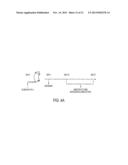 USE OF TLR AGONISTS AND/OR TYPE 1 INTERFERONS TO ALLEVIATE TOXICITY OF     TNF-R AGONIST THERAPEUTIC REGIMENS diagram and image