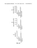 USE OF TLR AGONISTS AND/OR TYPE 1 INTERFERONS TO ALLEVIATE TOXICITY OF     TNF-R AGONIST THERAPEUTIC REGIMENS diagram and image