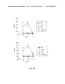 USE OF TLR AGONISTS AND/OR TYPE 1 INTERFERONS TO ALLEVIATE TOXICITY OF     TNF-R AGONIST THERAPEUTIC REGIMENS diagram and image