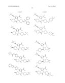 INHIBITORS OF FLAVIVIRIDAE VIRUSES diagram and image