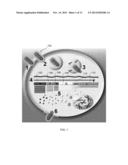 MODULATING ONCOLYTIC VSV AND UPREGULATING RAE1 AND NUP98 WITH STATINS diagram and image