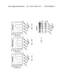 MODULATING ONCOLYTIC VSV AND UPREGULATING RAE1 AND NUP98 WITH STATINS diagram and image