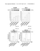 MODULATING ONCOLYTIC VSV AND UPREGULATING RAE1 AND NUP98 WITH STATINS diagram and image